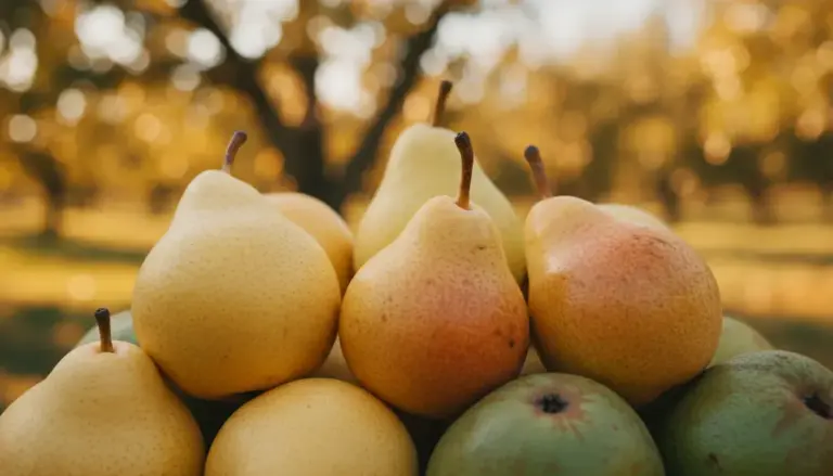 Odmiany Gruszek